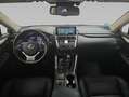 Lexus NX 300 300h Executive Navigation 4WD Rot - thumbnail 12