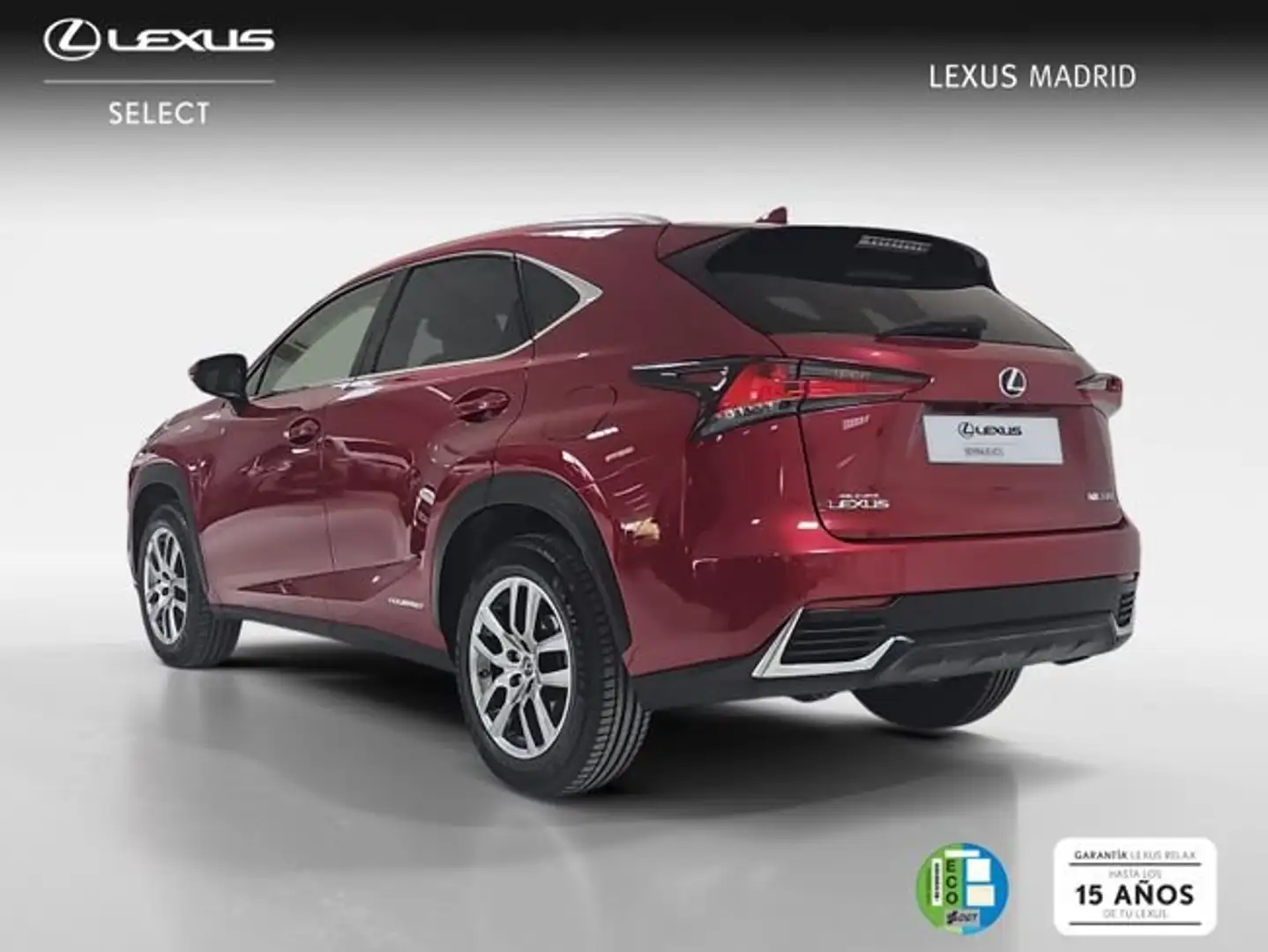Lexus NX 300 300h Executive Navigation 4WD Rot - 2