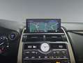 Lexus NX 300 300h Executive Navigation 4WD Rot - thumbnail 13