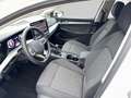 Volkswagen Golf Variant VIII Variant LIFE 1.5 TSI AHK LED-PLUS PDC SHZG D Weiß - thumbnail 8