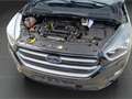 Ford Kuga ST-Line 1.5 EcoBoost EU6d-T *Automatik *AHK Noir - thumbnail 19