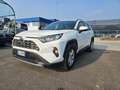 Toyota RAV 4 Rav4 2.5 vvt-ie h Business 2wd 218cv e-cvt-GG478RH Bianco - thumbnail 2