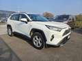 Toyota RAV 4 Rav4 2.5 vvt-ie h Business 2wd 218cv e-cvt-GG478RH Bianco - thumbnail 8