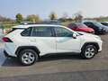 Toyota RAV 4 Rav4 2.5 vvt-ie h Business 2wd 218cv e-cvt-GG478RH Bianco - thumbnail 7