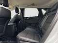 Ford Kuga 2.0 EcoBlue Aut. 4x4 TITANIUM X B&O|HuD|AHK Weiß - thumbnail 19