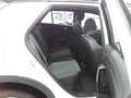 Volkswagen T-Roc 1.5 TSI, R-LINE, DSG, NAVI, APP, KAMERA, A Weiß - thumbnail 10