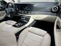 Mercedes-Benz E 220 E 220 d Aut. 4.Matic Grau - thumbnail 13