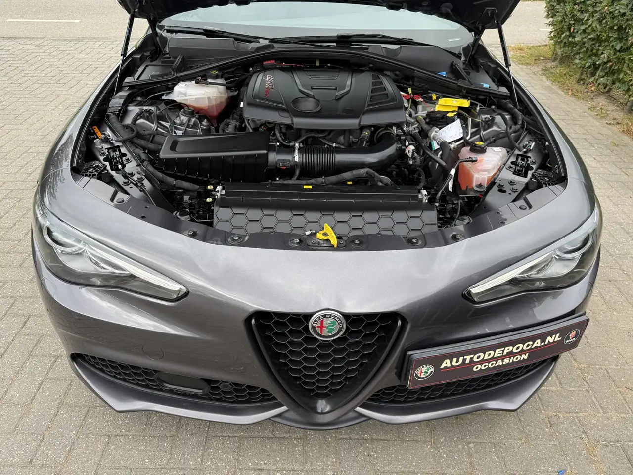 Alfa Romeo Giulia 2022 — фото 13