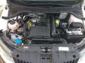 Skoda Fabia R5   1.Hand 1.4 TSI DSG  Navi Kamera SHZ M Weiß - thumbnail 11