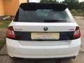 Skoda Fabia R5   1.Hand 1.4 TSI DSG  Navi Kamera SHZ M Weiß - thumbnail 14