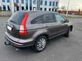 Honda CR-V 2.0i-VTEC Automatik Comfort 50 Jahre Edition - thumbnail 5