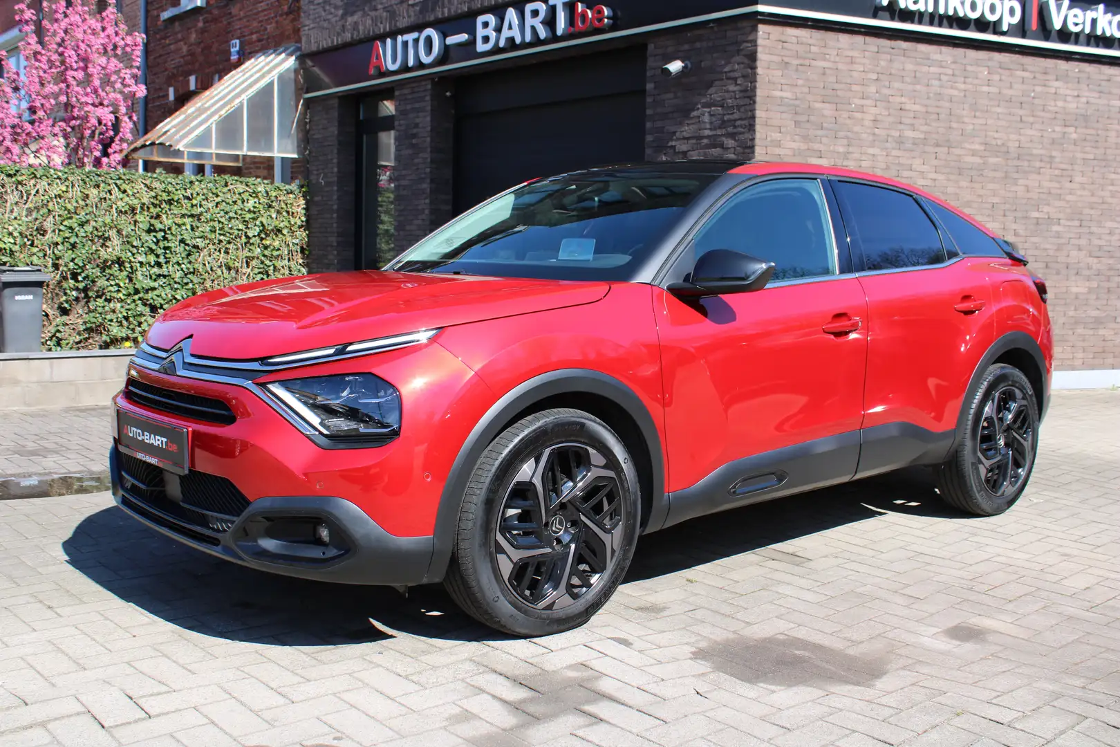 Citroen C4 1.2 PureTech Shine Pack S I PANO I ACC I HEAD UP I Rouge - 2