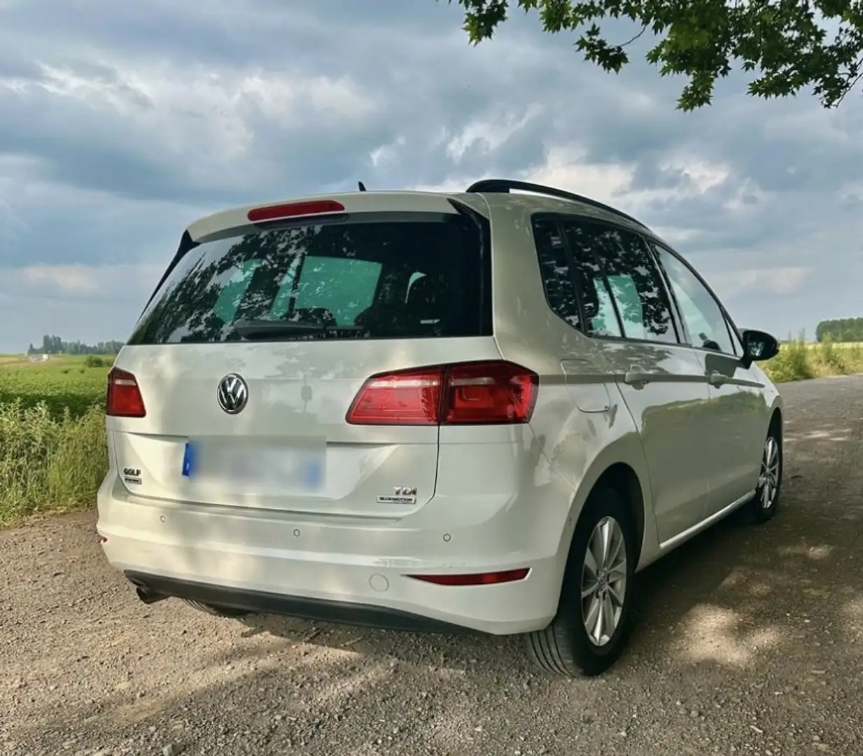 Volkswagen Golf Sportsvan 1.6 TDI 110 FAP BlueMotion Technology DSG7 Confort - 2
