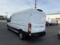 Ford Transit Kasten L3H2 Trend 2.0 TDCi, EURO6 Weiß - thumbnail 4