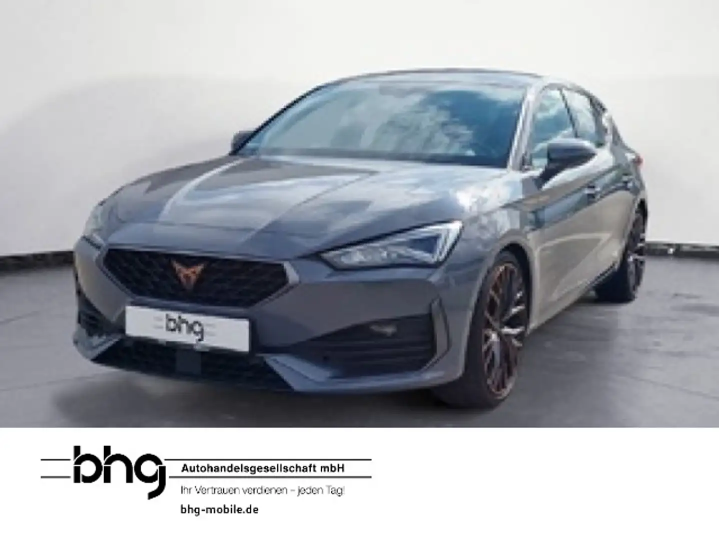 CUPRA Leon Sportstourer 2.0 TDI DSG EdgePaket AssistPl Blau - 1