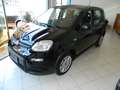 Fiat Panda 1.0 FireFly 70CV HYBRID - KM ZERO PRONTA CONSEGNA Zwart - thumbnail 1