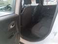 Jeep Renegade Renegade 1.6 mjt Business 2wd 120cv Bianco - thumbnail 14