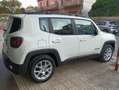 Jeep Renegade Renegade 1.6 mjt Business 2wd 120cv Bianco - thumbnail 3