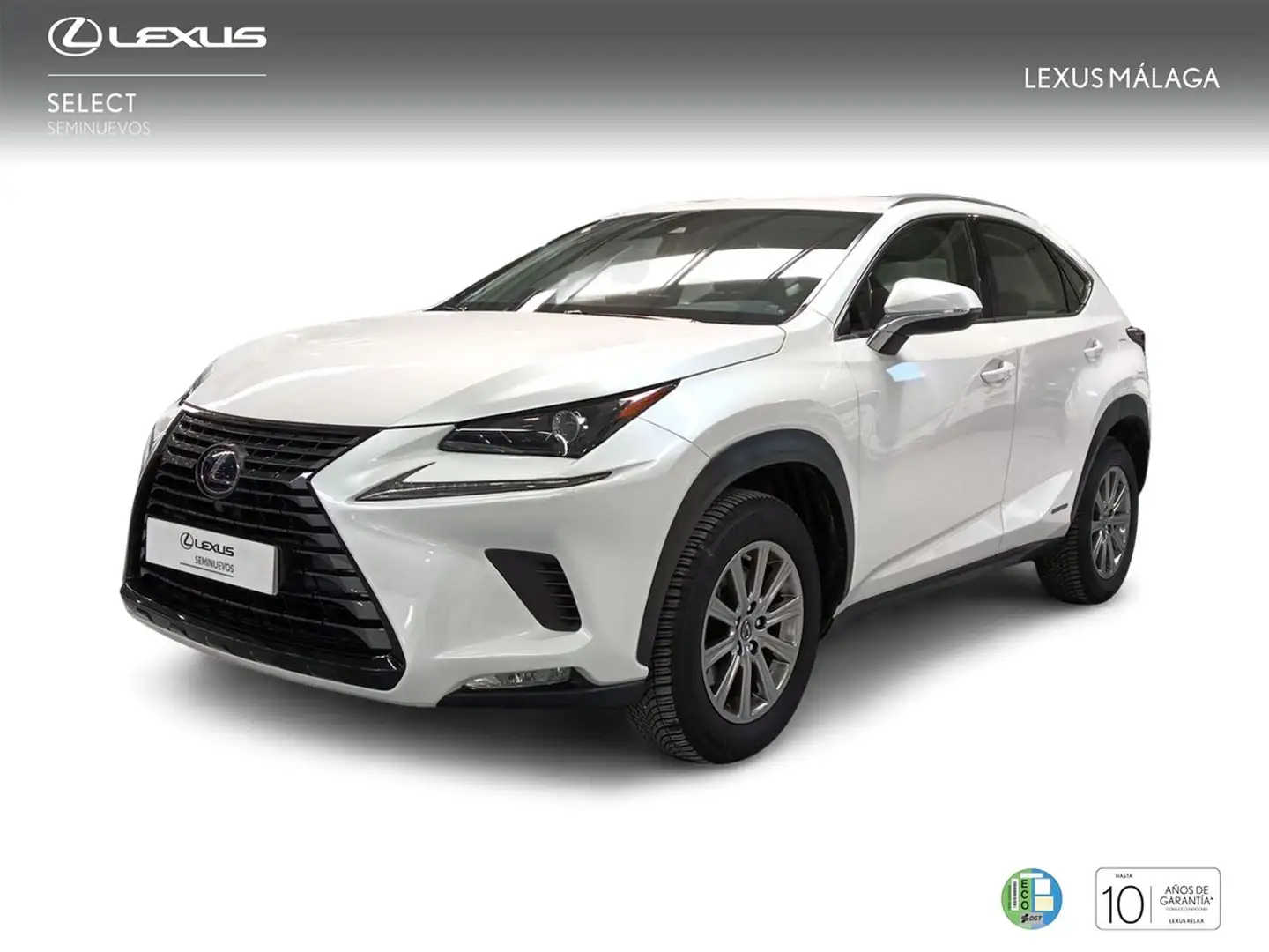 Lexus NX 300 300h Business Navigation 2WD Blanco - 1