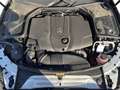 Mercedes-Benz C 220 d Aut. Grau - thumbnail 20