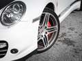 Porsche 911 Turbo Blanco - thumbnail 22