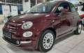 Fiat 500 Automatik Sommerfahrzeug wenig KM - thumbnail 5