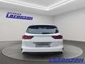 Kia Ceed / cee'd Sportswagon T-GDI 1.0 DAB Spurhalteass. Fernlichta Weiß - thumbnail 6