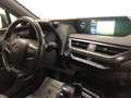Lexus UX 250h Premium 4wd cvt Gris - thumbnail 11