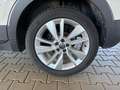 Volkswagen T-Cross Life 1.0 TSI DSG / Matrix-LED ACC Kamera Shz vo... Grau - thumbnail 13