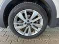 Volkswagen T-Cross Life 1.0 TSI DSG / Matrix-LED ACC Kamera Shz vo... Grau - thumbnail 12