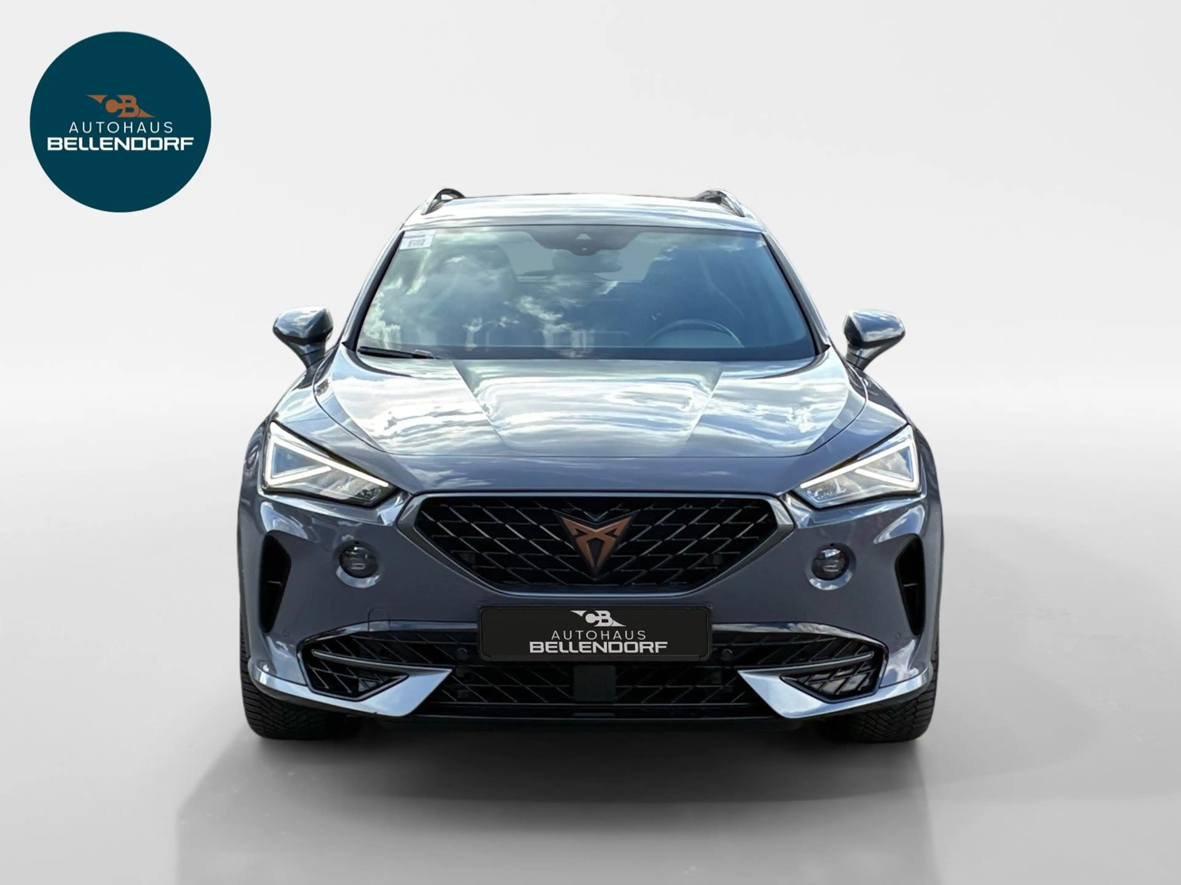 CUPRA Formentor VZ 2.0 TSI DSG 4Drive Navi AHK Leder — photo 8