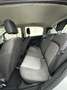Fiat Punto 5p 1.2 natural power Classic Active - thumbnail 7