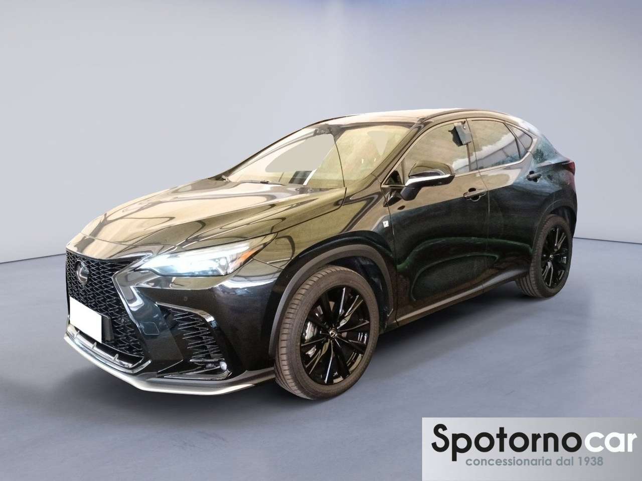 Lexus NX 300 Plug-in F Sport 4WD