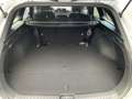 Kia Ceed / cee'd Sportswagon 1.0T 48V DCT 100 NIGHTLINE STD Grau - thumbnail 11