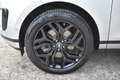 Land Rover Range Rover Evoque II 2.0d i4 Mhev First Edition awd 180cv auto Argent - thumbnail 6