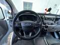 Ford Sonstige *CAMPER*BIKE-AUSBAU* Weiß - thumbnail 6