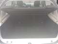 Dacia Sandero Stepway Celebration TCe 100 Weiß - thumbnail 11