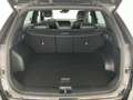 Kia Sportage 1,6 CRDI 48V GT-Line AWD DCT Schwarz - thumbnail 19
