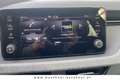 Skoda Scala Selection Grau - thumbnail 9