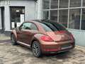 Volkswagen Beetle 1.2 TSI Allstar  Gps✅Carplay✅ 52mk✅ Braun - thumbnail 5