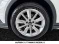 Volkswagen Golf Variant Alltrack 2.0 TSI DSG 4Motion AHK STHZ Weiß - thumbnail 16