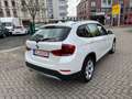 BMW X1 20 d xDrive Panorama-R.Kamera AUTOMATIK Weiß - thumbnail 6