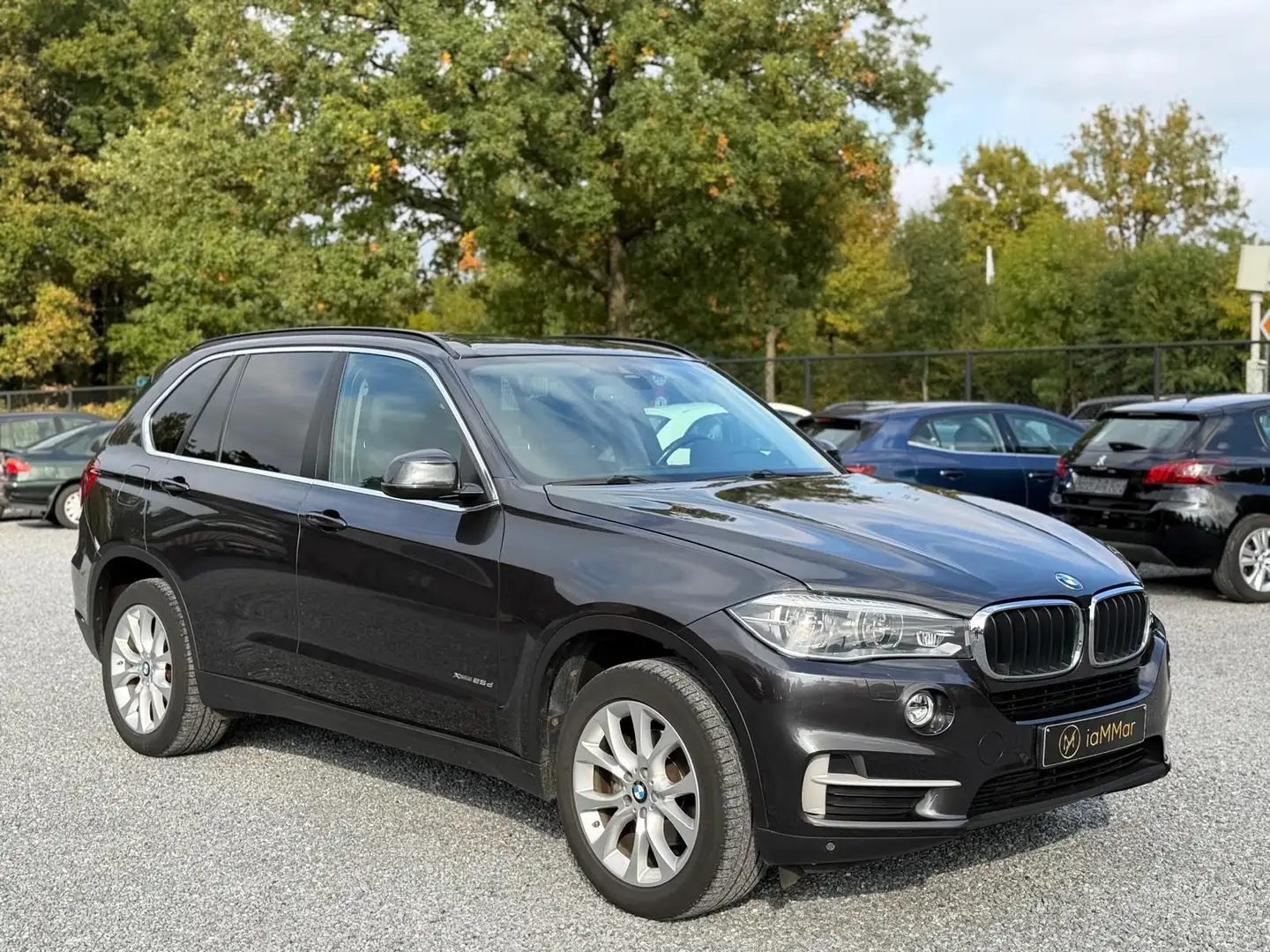 BMW X5 X5 xDrive25d Noir - 2
