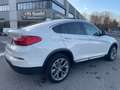 BMW X4 X4 xDrive20d xLine*Gancio traino*Pelle*Navi*Tetto* Bianco - thumbnail 7