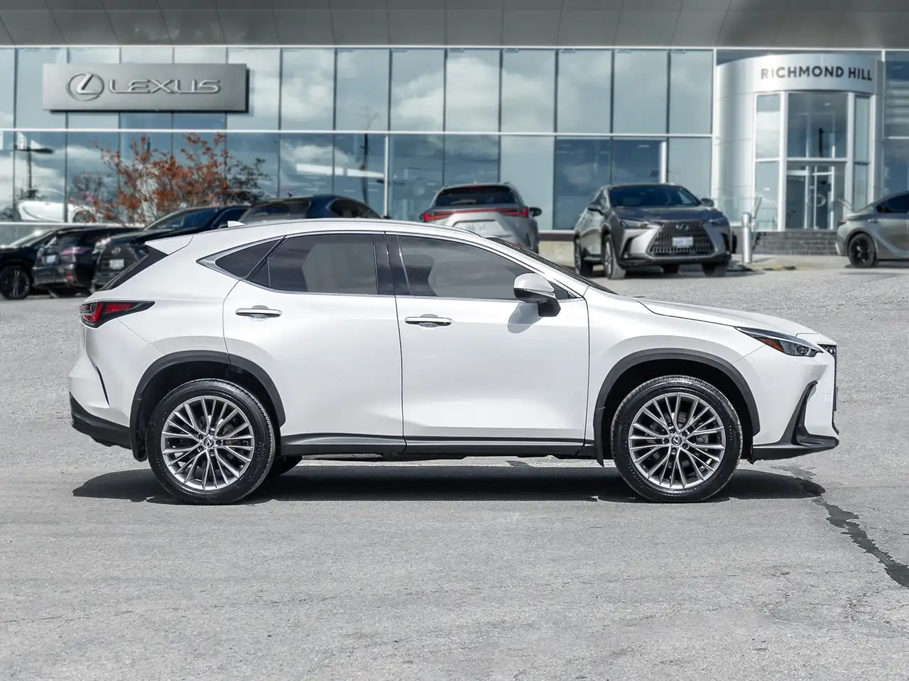 Lexus NX photo Lexus NX