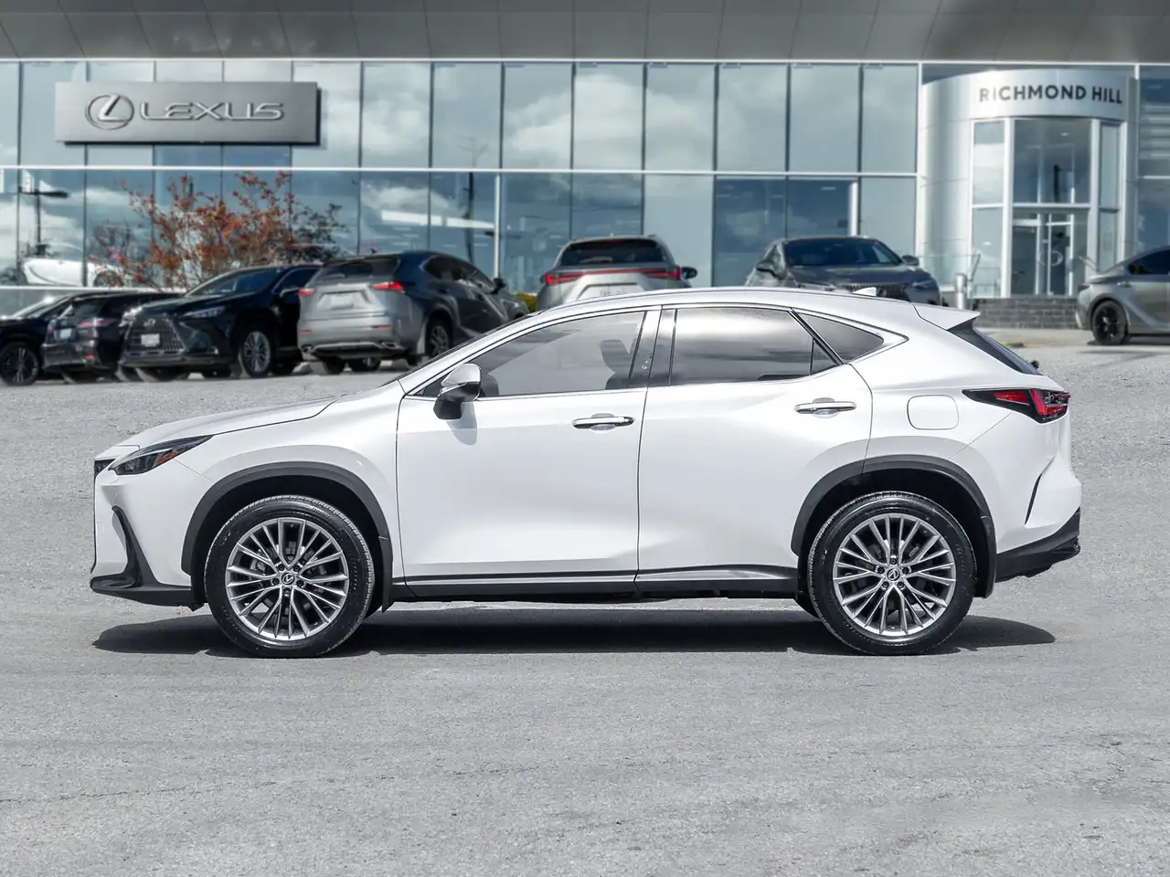 Lexus NX photo Lexus NX