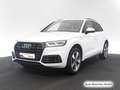 Audi Q5 50 TDI qu. S line StdHzg/Pano/AHK/B&O Weiß - thumbnail 4