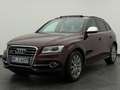Audi SQ5 SQ5 3.0 TDI quattro +VOLLAUSSTATTUNG+EXCLUSIVE+ Rot - thumbnail 2