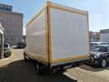 Iveco Ecodaily 35 S 11 CENTINA E TELONE Alb - thumbnail 4