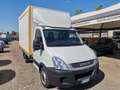 Iveco Ecodaily 35 S 11 CENTINA E TELONE Alb - thumbnail 7